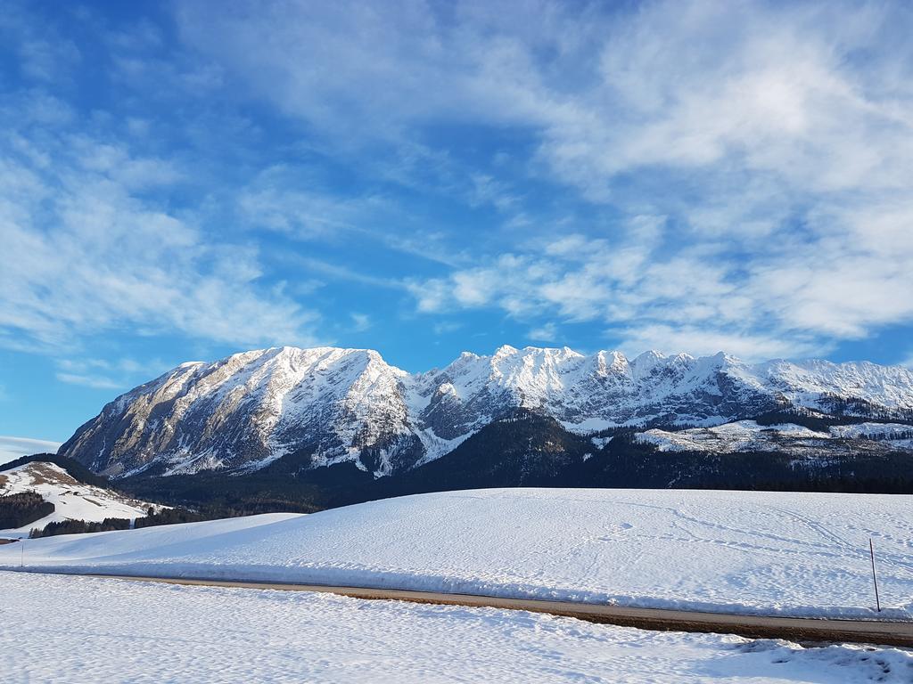 Nina'S Appartement Bad Mitterndorf Dış mekan fotoğraf