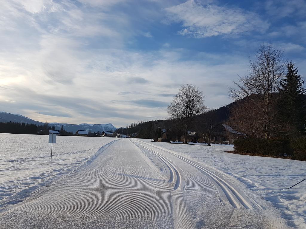 Nina'S Appartement Bad Mitterndorf Dış mekan fotoğraf