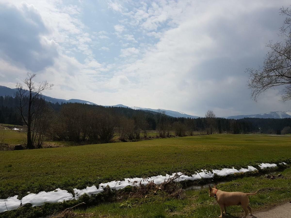 Nina'S Appartement Bad Mitterndorf Dış mekan fotoğraf